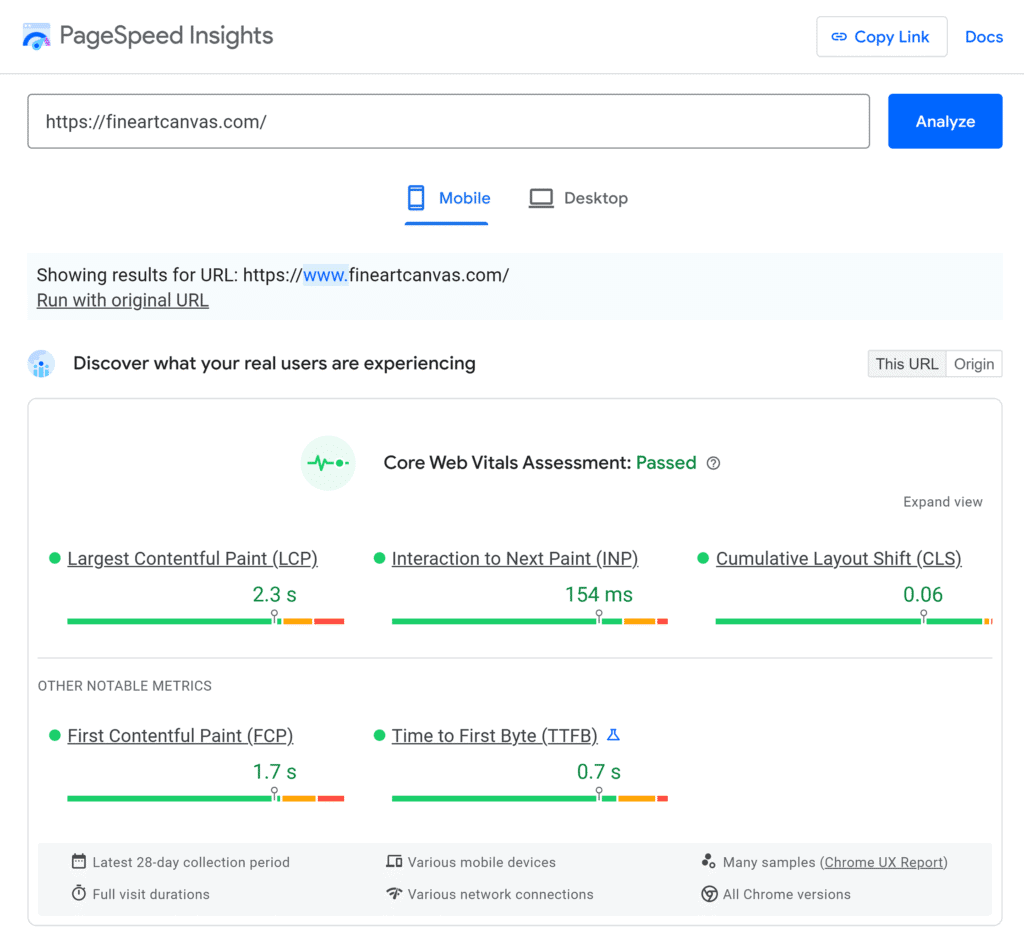 PageSpeed Insights – Fine Art Canvas