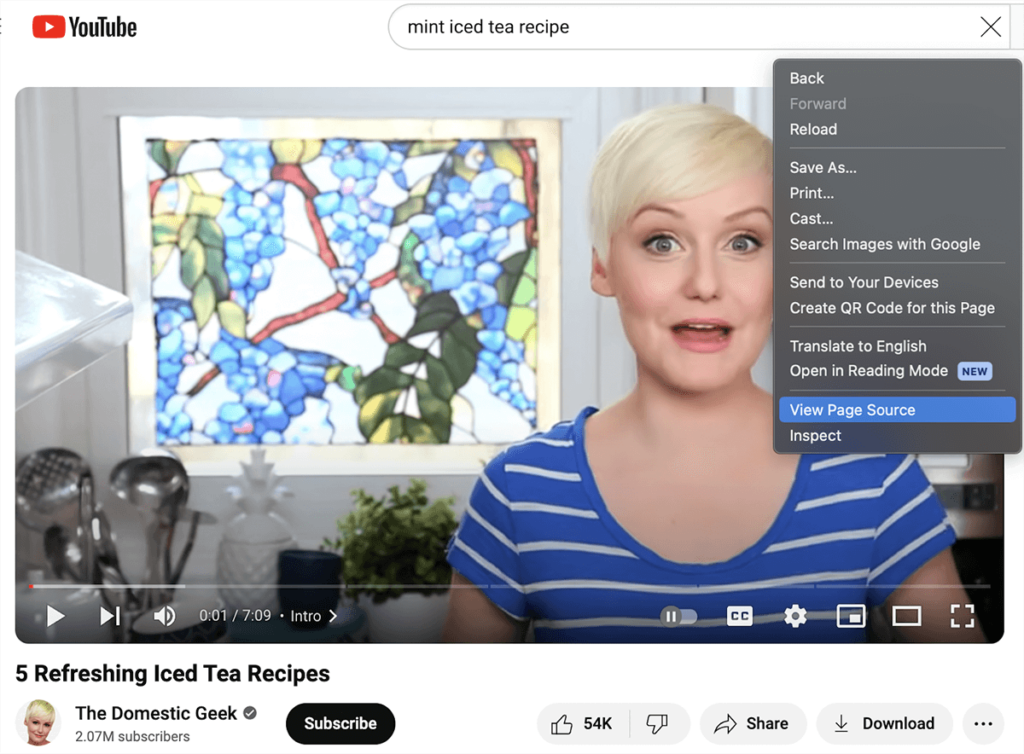 YT View Page Source